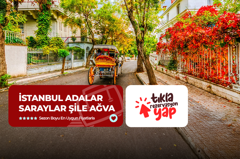 İstanbul Adalar Saraylar Şile Ağva Turu