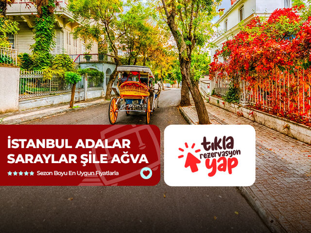 İstanbul Adalar Saraylar Şile Ağva Turu
